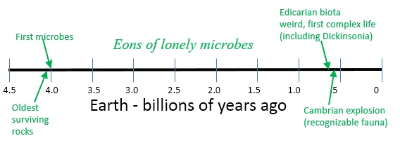 earth timeline life dickensonia.jpg