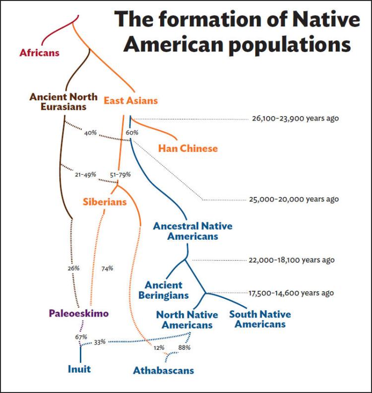 nativefamilytree1
